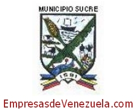 Alcaldia de Municipio Sucre en Bobures Zulia