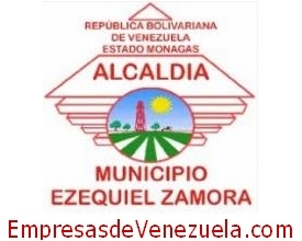 Alcaldía Municipio Ezequiel Zamora en Punta De Mata Monagas