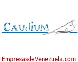 Caudium CA en Maracaibo Zulia